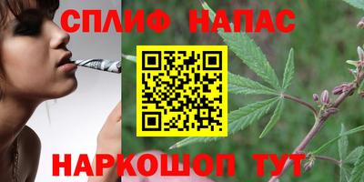 соль ск Новоалтайск