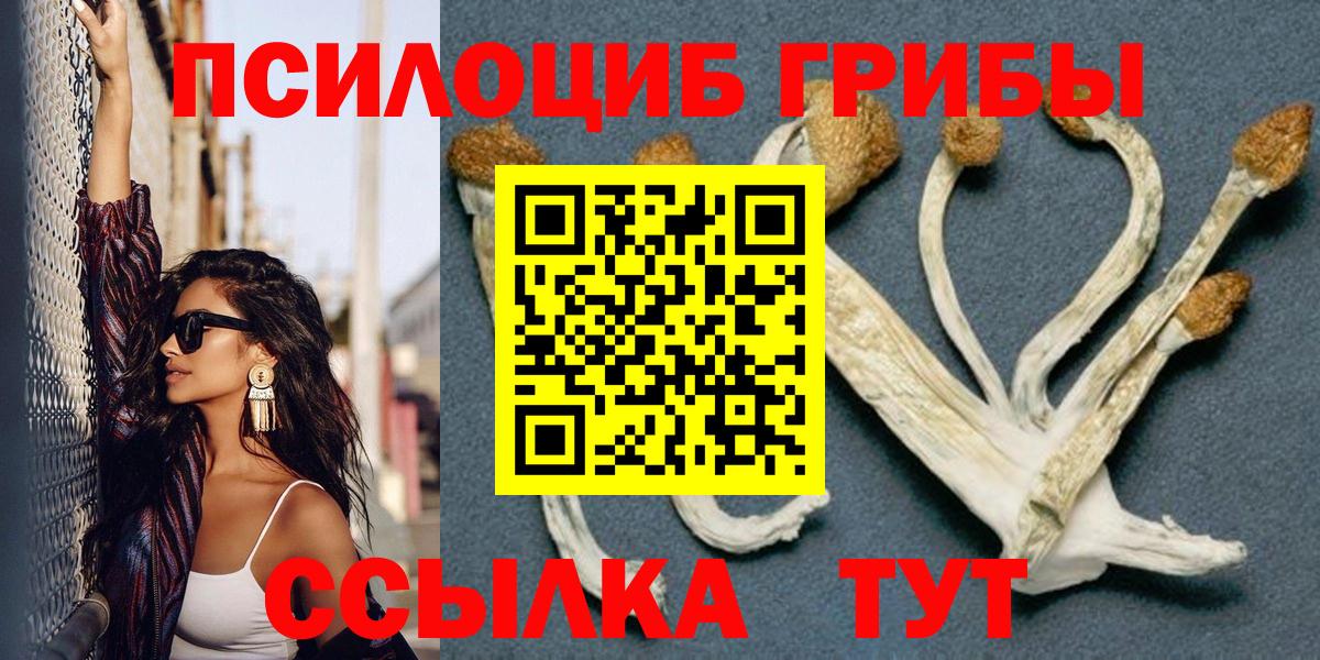 Галлюциногенные грибы Psilocybine cubensis  Вход с VPN  Галлюциногенные грибы MAGIC MUSHROOMS  Москва 